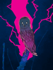 Night Owl Stylized illustration of a barn owl silhouetted by bright pink lightning.